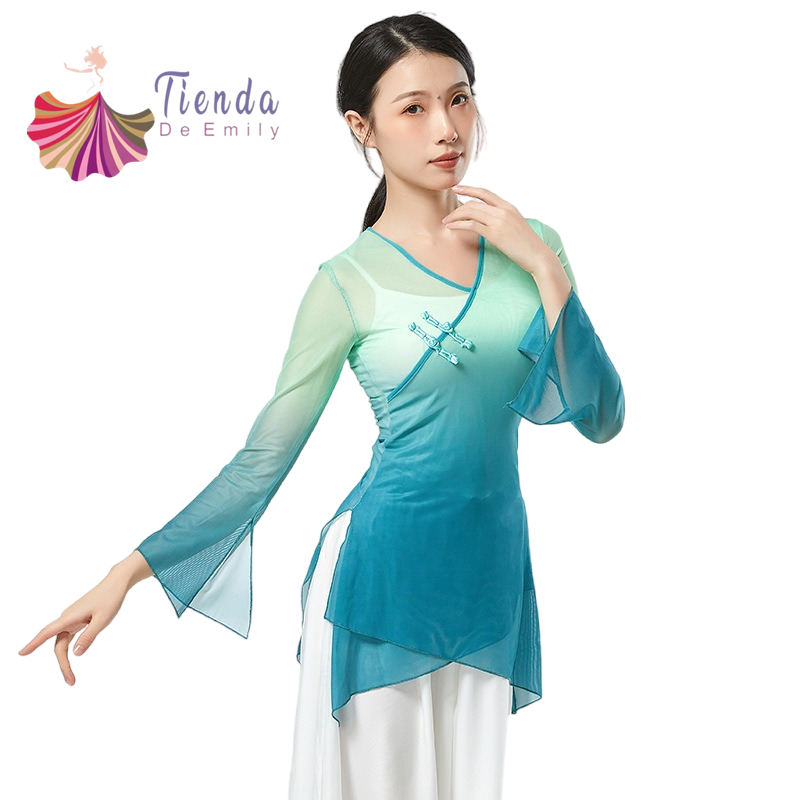 Chinese Traditional Blouse 2 Colors Gauze Top Long Sleeve Classical Dance Shirt Art Test Performance Body Rhyme Transparent Folk